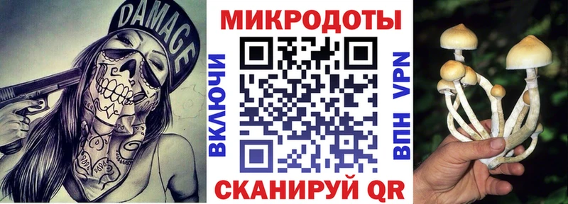 хочу   Пыталово  Псилоцибиновые грибы Magic Shrooms 
