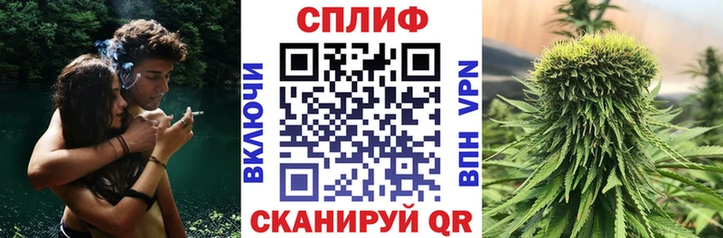 Конопля сатива  ОМГ ОМГ ссылки  Пыталово 